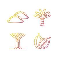 Plants in Singapore gradient linear vector icons set. Traveller palm. Supertree grove. Curry puff. Singaporean cuisine. Thin line contour symbols bundle. Isolated outline illustrations collection