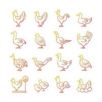 Conjunto de iconos de vector lineal degradado de aves de granja para aves de corral. aves domésticas. cría de patos y gansos. cría comercial de aves de corral. paquete de símbolos de contorno de línea delgada. colección de ilustraciones de contorno aislado