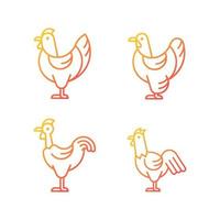 Chicken breeds gradient linear vector icons set. Brahma hen. Transylvanian chicken. Hen and rooster. Poultry farming. Thin line contour symbols bundle. Isolated outline illustrations collection