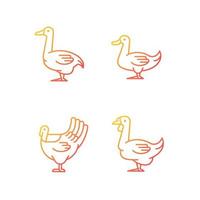 Waterfowl gradient linear vector icons set. Ducks, geese raising. Turkey growing. Livestock husbandry. Commercial farming. Thin line contour symbols bundle. Isolated outline illustrations collection