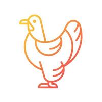 Brahma hen gradient linear vector icon. American chicken breed. Raising domestic bird for meat. Feathered shanks, toes. Thin line color symbol. Modern style pictogram. Vector isolated outline drawing