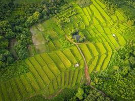 Terrazas de campo de arroz: vista superior del campo de arroz desde arriba con parcelas agrícolas de diferentes cultivos en verde, vista aérea de los campos de arroz verde, plantación de la naturaleza, granja en el fondo de la montaña foto