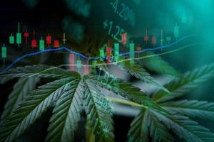 Negocio de cannabis con hojas de marihuana y gráficos de acciones en el mercado de valores Análisis de comercio de bolsa Inversión, Medicina comercial de cannabis Dinero Financiamiento de mayor valor y tendencias de ganancias comerciales