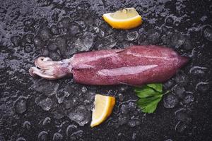 Fresh squids octopus or cuttlefish for cooked food salad restaurant, Raw squid on ice with lemon parsley on the dark plate seafood market photo