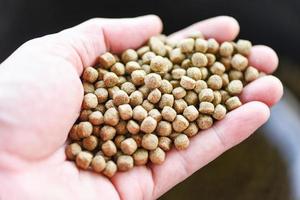 Feed the fish, Close up brown pellets feeds for fish on hand photo