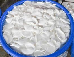 Coconut white for ice cream dessert and food or coconut milk - Fresh young coconut slice photo