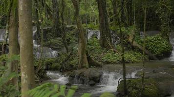 Kaskade fließt während der Regenzeit durch den Felsen zwischen grünen Pflanzen. video