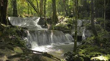 små vattenfall snabbt strömmar genom klipporna under solljus i tropisk skog.