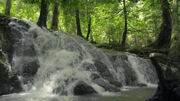 maravillosa cascada bajo la sombra de los árboles en la selva. video
