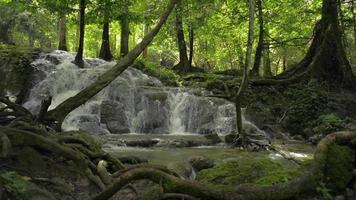 wunderschöne Landschaft des tropischen Wasserfalls zwischen üppigen Grünpflanzen im Dschungel.