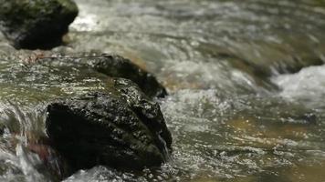 feche o fluxo de água que flui sobre as rochas no rio. video