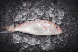 Pescado fresco en el mercado de hielo - besugo crudo pescado congelado foto