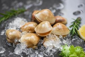 Almeja de concha fresca con ingredientes a base de hierbas para ensalada - mariscos mariscos sobre hielo congelados en el restaurante, concha de Venus esmaltada, almejas de agua salada foto