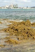 Salinas Beach, Ecuadoe photo