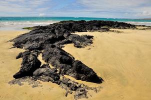 Lava on the beach photo