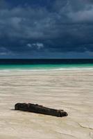 Cannon on the beach photo