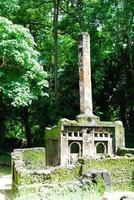 Gedi Ruins, Kenya photo