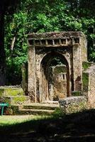 Gedi Ruins, Kenya photo