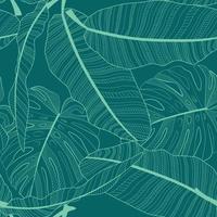 Fondo de patrón transparente de hoja de palmera tropical abstracta. ilustración vectorial vector