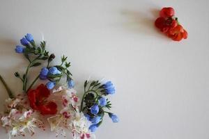 Frame made of fresh red and blue flowers photo