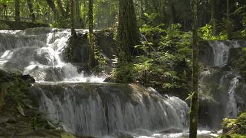 zoet water stroomt van cascade door rots tussen groene planten onder zonlicht. video