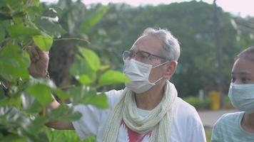 Elderly man and his granddaughter wearing face masks and caring for the plants together in the morning.