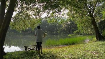morgonlandskap av naturliga damm i parken när en kvinna som joggar stannar för att knyta sina skosnören under ett träd. video