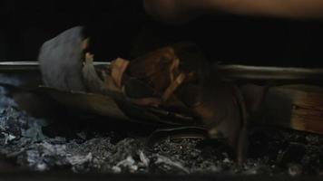 How to quickly start a Fire in a Fireplace using Birch Bark video