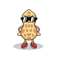 Cute peanut mascot vector