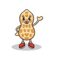 Cute peanut mascot vector