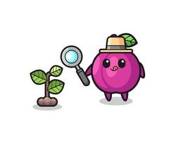 cute plum fruit herbalist researching a plants vector