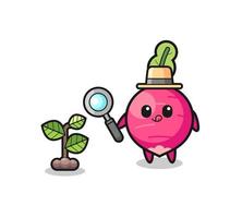 cute radish herbalist researching a plants vector