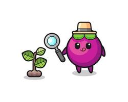 cute mangosteen herbalist researching a plants vector