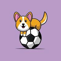 lindo, perro corgi, en, pelota de fútbol, ilustración vector