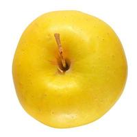 Yellow Apple isolated photo