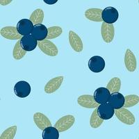 Blueberries seamless pattern vector illustration