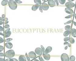 Gold frame with eucalyptus vector illustration