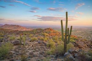 paisaje de la naturaleza de phoenix, arizona, estados unidos foto