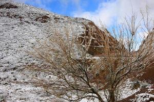 Franklin Mountains on the Westside of El Paso, Texas, covered in snow looking towards Trans Mountain Road photo