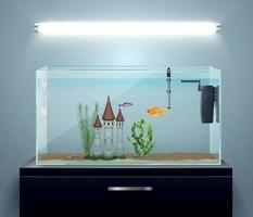 Aquarium Realistic Composition