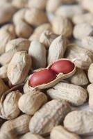 Nueces de guisantes procesados en la mesa de cerca foto