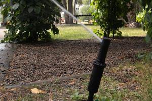 Lawn irrigation system working in a green park. Spraying the lawn with water in hot weather. Automatic sprinkler. The automatic watering sprinkler head watering the lawn. Smart garden. photo