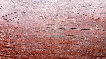 Dark brown wood texture background. Wooden surface with a natural pattern. Abstract background. photo