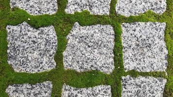 The texture of the paved tile of the street. Concrete paving slabs. Paving slabs. Grass between the slabs. Texture of paving slabs overgrown with grass. Background image of a stratum stone photo