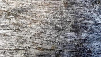 Old gray wooden texture close up. Flat lay, copy space, empty gray background for design. photo