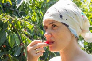 A beautiful young woman in a garden outside the city picks and bites a cherry near a tree on a sunny summer day. Portrait of a girl who eats cherries in the garden. Summer fruit picking season. photo