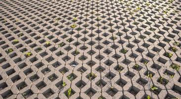 Background from paving slabs with grass sprouting through them. Stone tiles on the sidewalk. Footpath. Textured patterned background. Eco-friendly covering - concrete lawn grating. photo