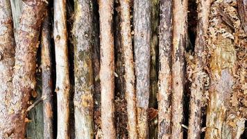 Firewood on big pile , top view, beautiful wooden logs. background of stacked logs top view from the drone. pile stacked natural sawn wooden logs background photo