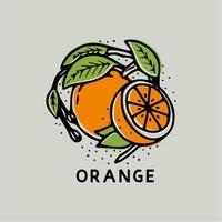 fruta naranja con hoja vintage dibujado a mano ilustración vector