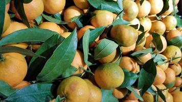 una gran cantidad de mandarina amarilla fresca con hojas verdes en el mercado, fondo de frutas. imagen de arte con hojas verdes. concepto de alimentación saludable. se puede utilizar como lugar para su texto. foto